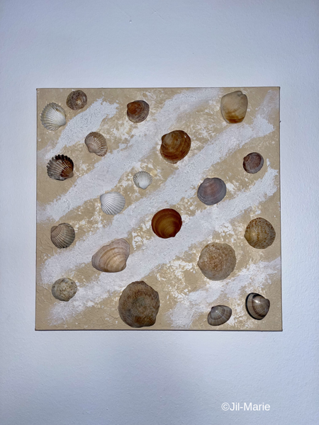 Beach Shells (40x40x3.5cm)
