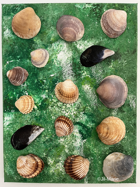 Shells In The Jungle (35x45x2cm)