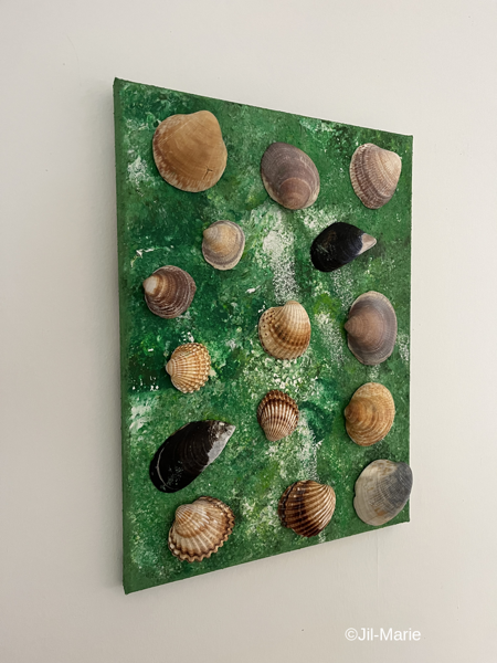 Shells In The Jungle (35x45x2cm)