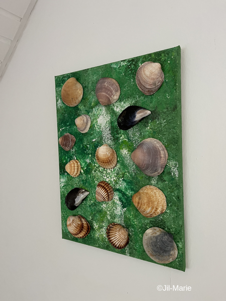Shells In The Jungle (35x45x2cm)
