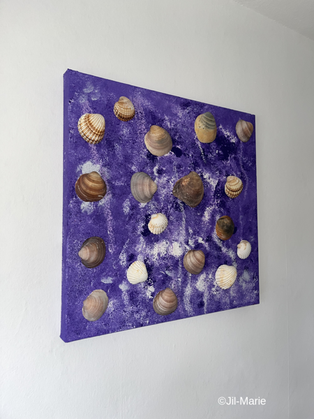 Shells In Universe (50x50x3.5cm)
