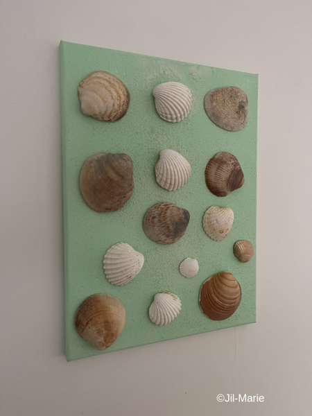 Shells In Harmony (30x40x2cm)