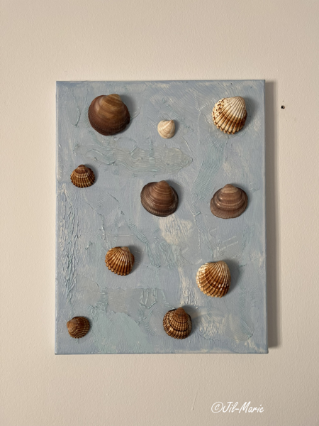 Shells (35x45x2cm)