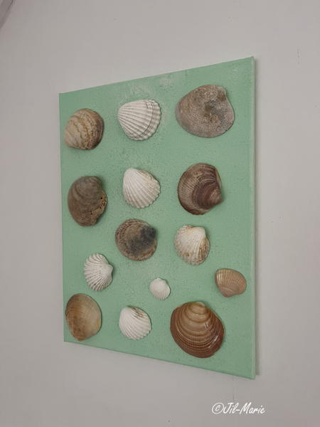 Shells In Harmony (30x40x2cm)