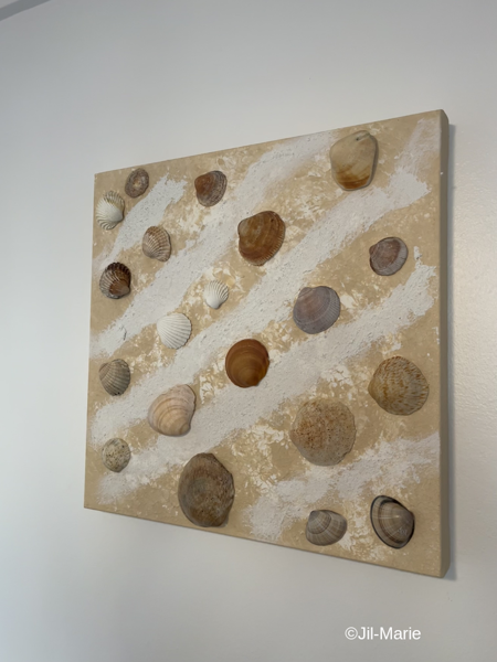 Beach Shells (40x40x3.5cm)