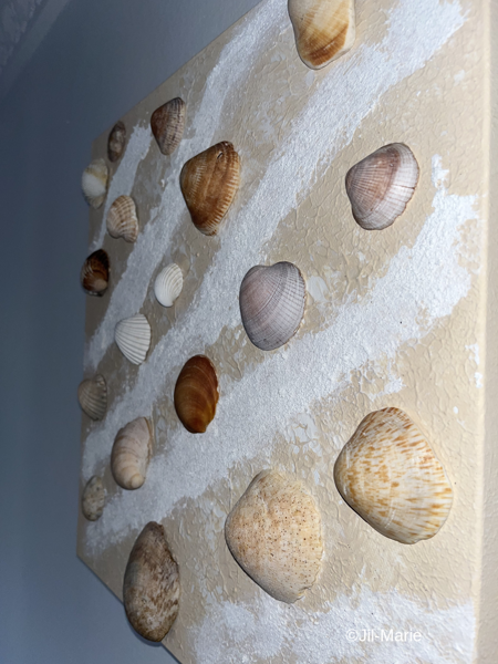Beach Shells (40x40x3.5cm)