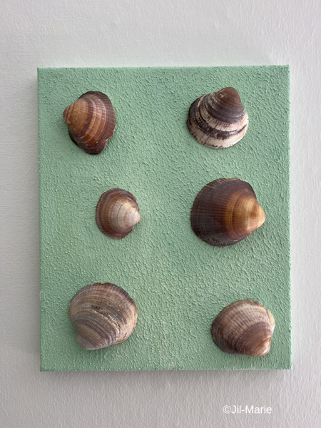 25x30x2cm