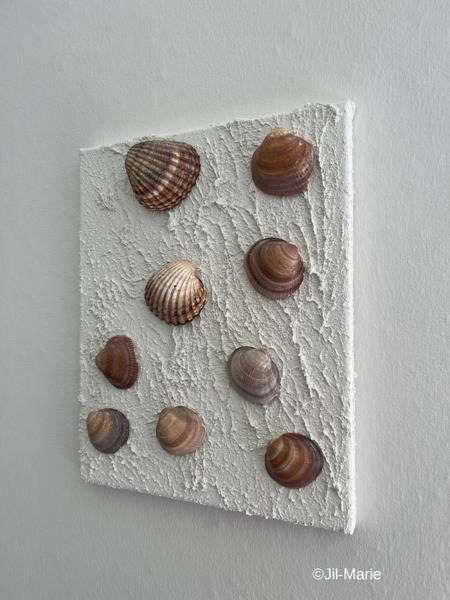 25x30x2cm