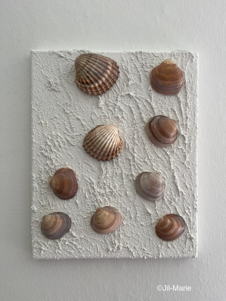 25x30x2cm