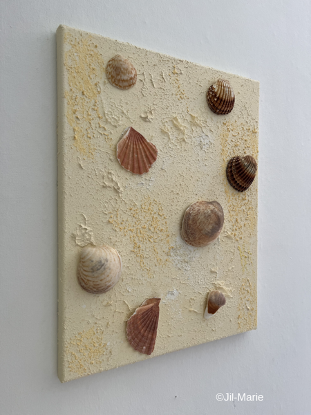 35x45x2cm